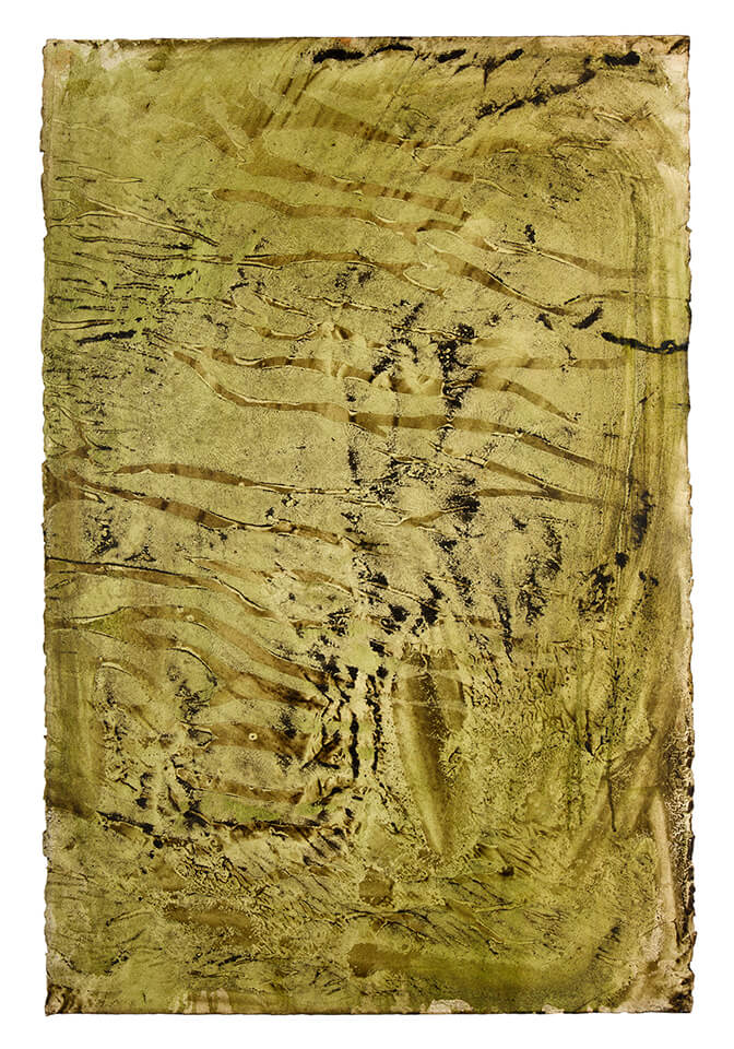 chontaduro papel 22.jpg